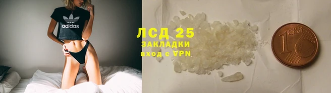 эйфоретик Аркадак