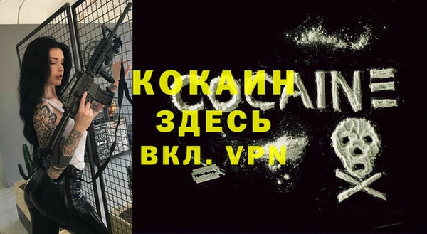 эйфоретик Аркадак
