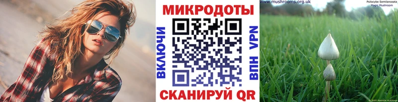 Галлюциногенные грибы мухоморы  Ахтубинск 